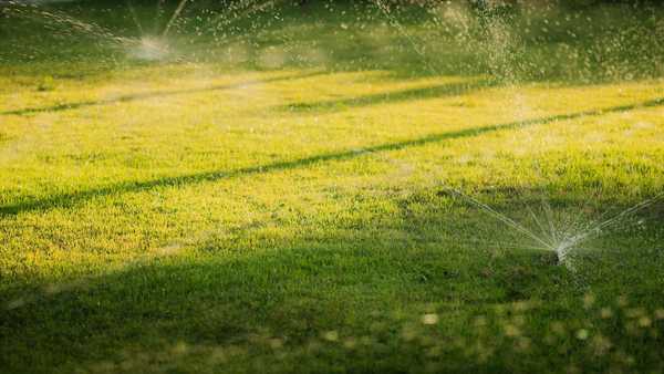 Sprinkler system watering a sunlit green lawn, with water droplets sparkling in the air and long shadows stretching across the grass.